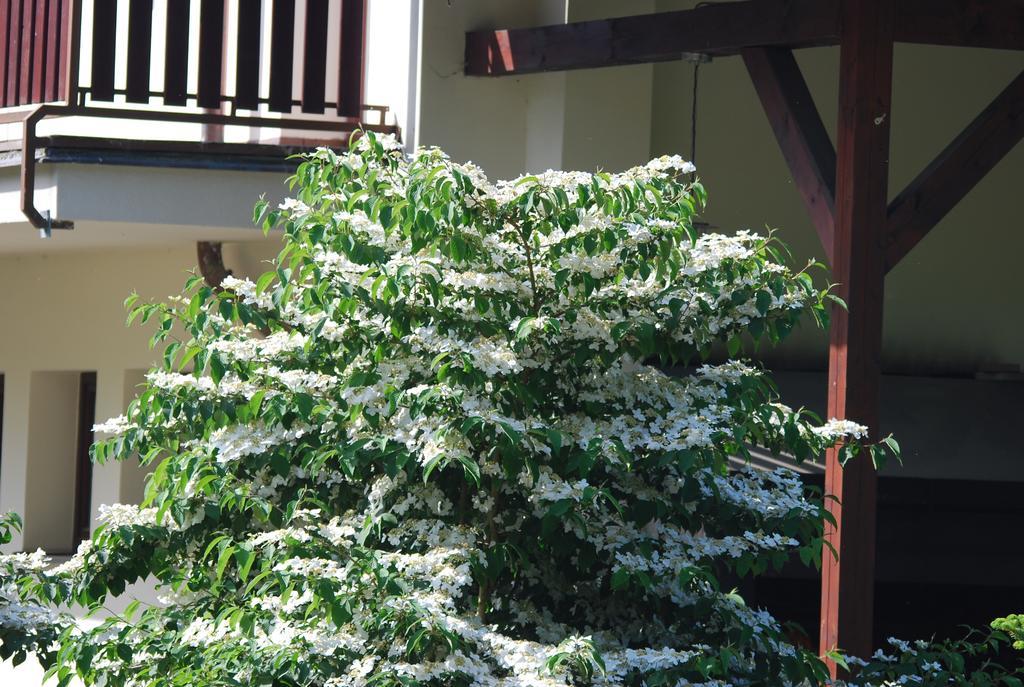 Ivanek Guest House Zvíkovské Podhradí 외부 사진