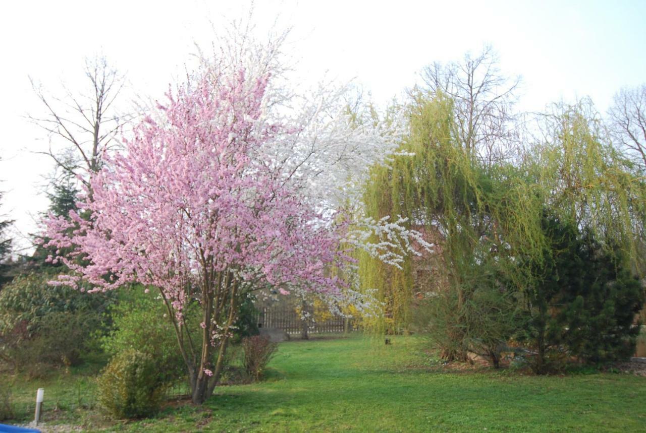 Ivanek Guest House Zvíkovské Podhradí 외부 사진