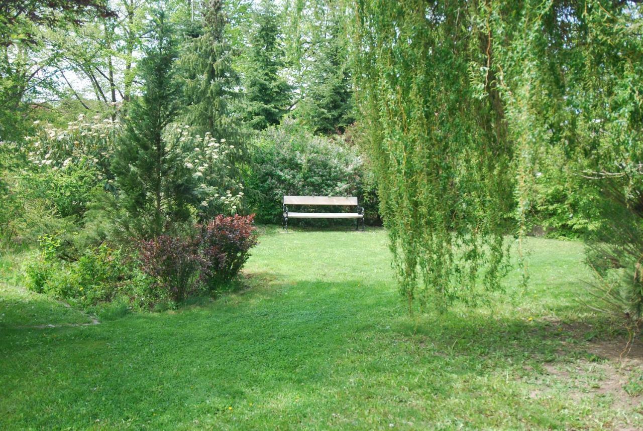 Ivanek Guest House Zvíkovské Podhradí 외부 사진