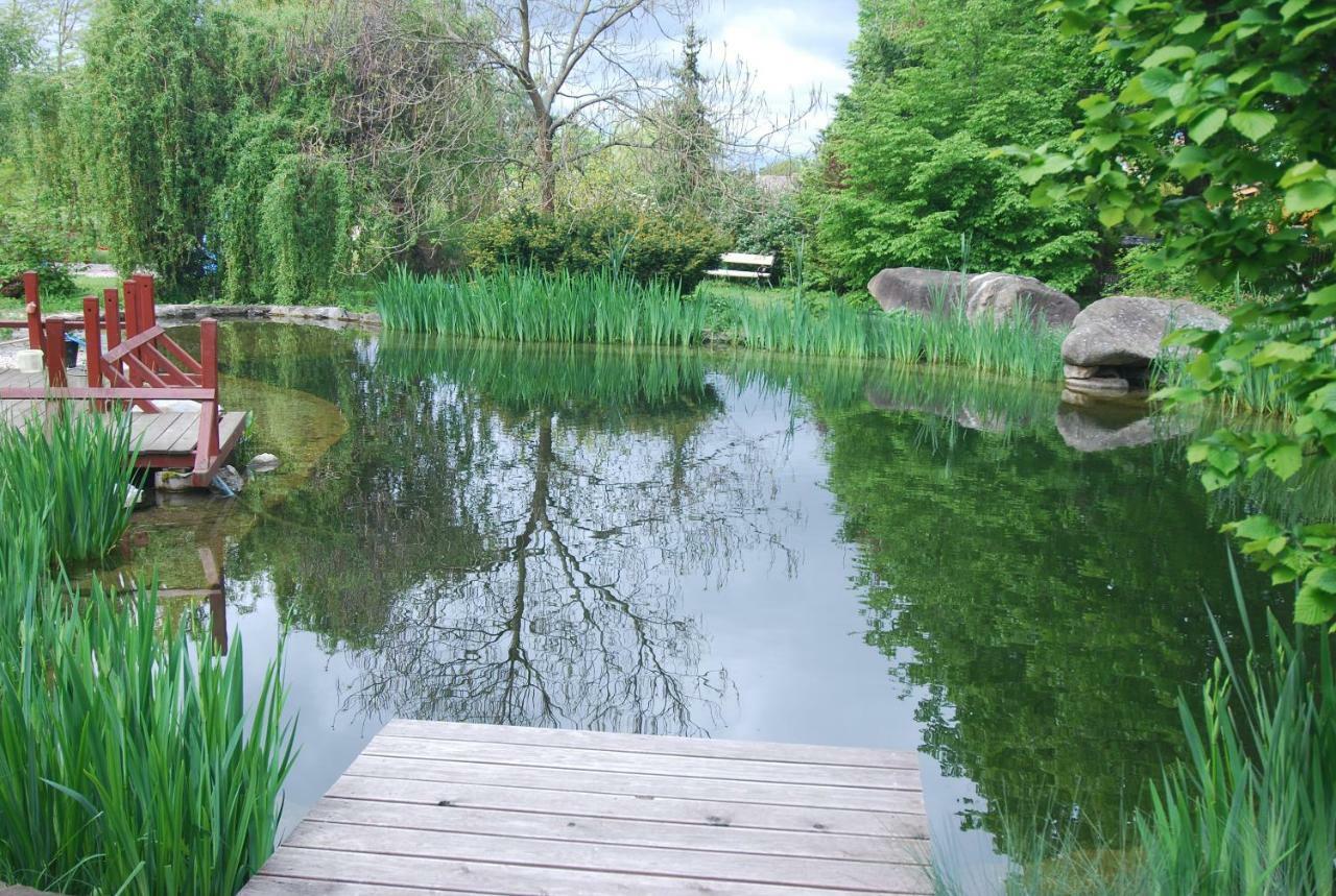 Ivanek Guest House Zvíkovské Podhradí 외부 사진
